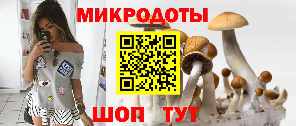 Псилоцибиновые грибы Cubensis Нальчик